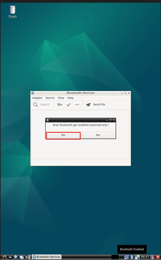 Debian_Test_BT_1